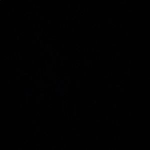 Meet your Posher, Abigail